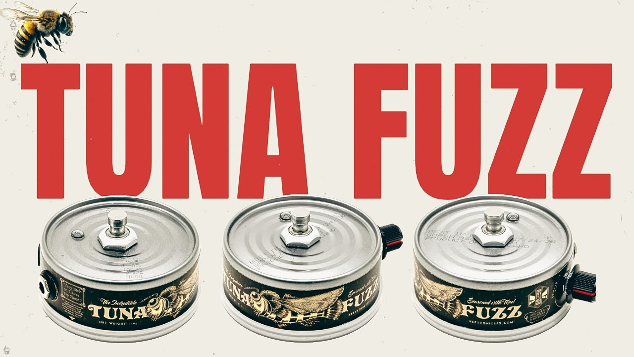 Beetronics Tuna Fuzz // Fuzz Pedal Demo - YouTube
