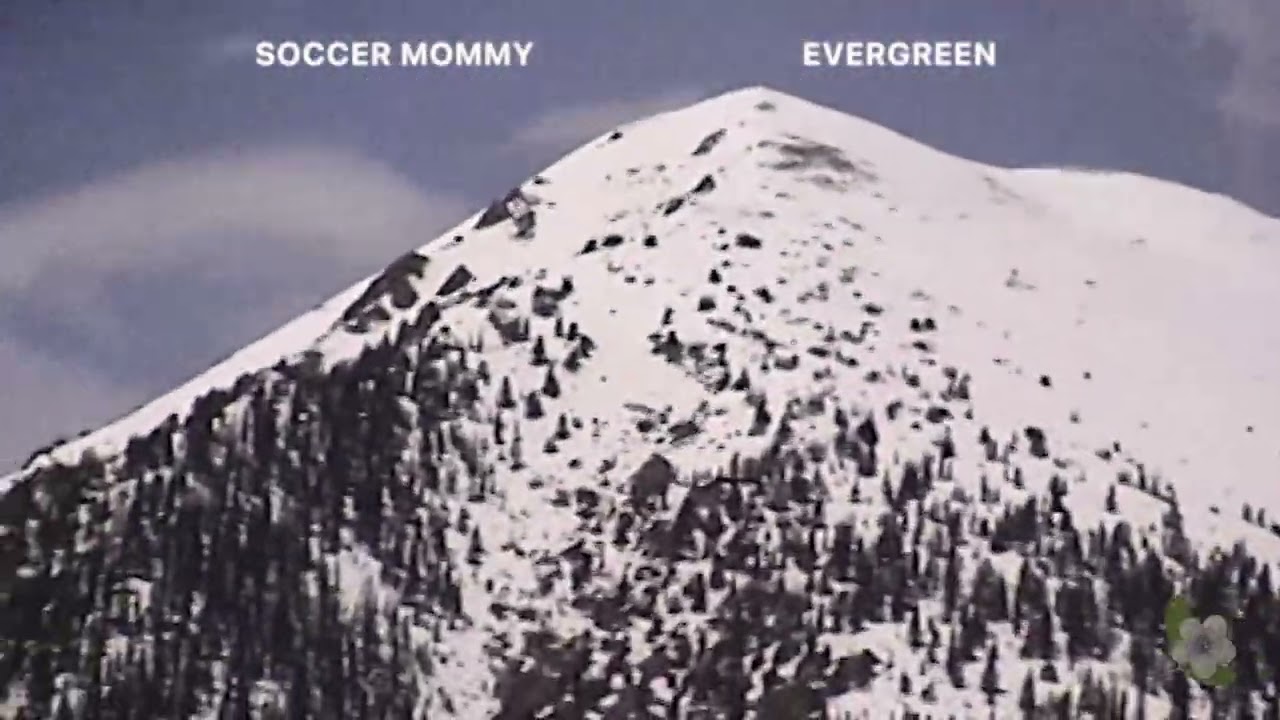 Soccer Mommy - Evergreen (Official Lyric Video) - YouTube
