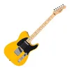 Fender Standard Telecaster...