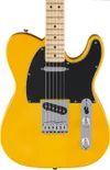 Fender Standard Series...