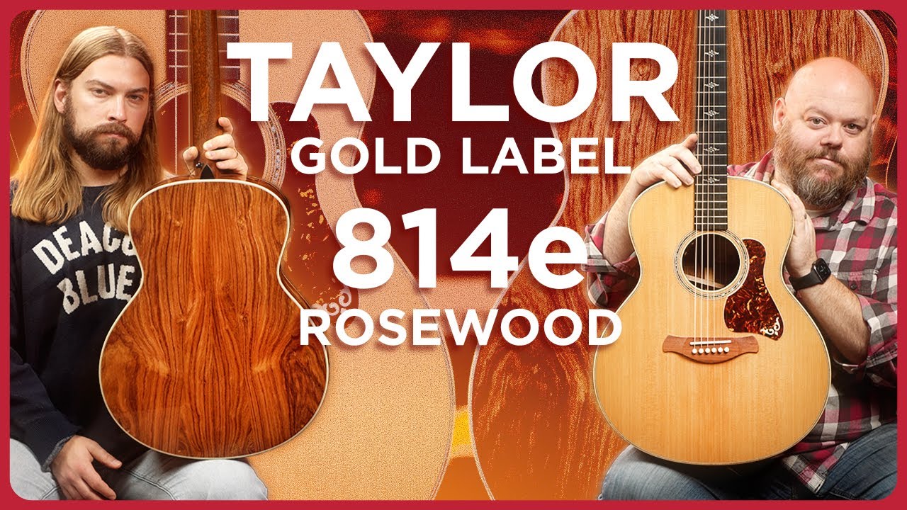 The Best Taylor on the Market? The Gold Label 814e with Honduran Rosewood - YouTube