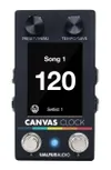 Walrus Audio Canvas Clock...