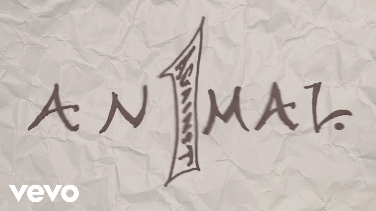 Pearl Jam - Animal (Official Visualizer) - YouTube
