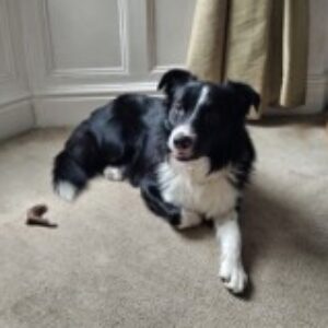 Profile photo of Gaghiggs